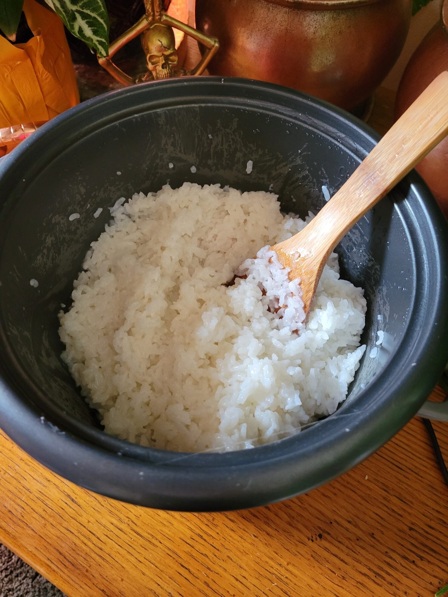 Rice Cooker