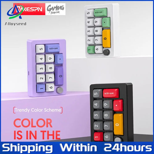 13 Key Macro Programmable Fully Hot Swappable Mechanical Switch 12 RGB Lighting Effects Gaming Mini Keyboard